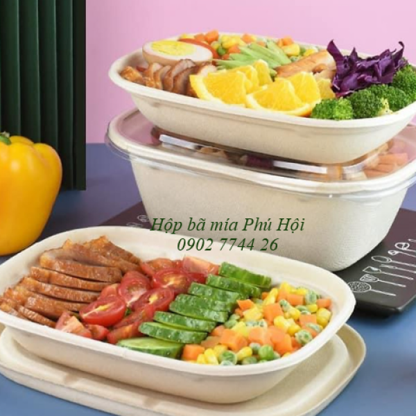 Hộp bã mía 1 ngăn to nắp nhựa PET 1100ml tại Quận 11 TP HCM